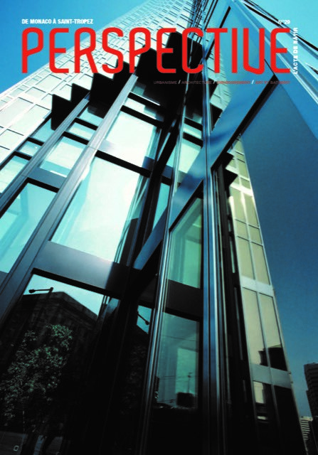 perspective 29